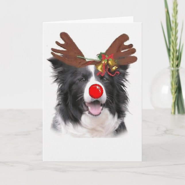 Cartão De Festividades Ditzy Dogs~Original Notecard~Border Collie (Frente)