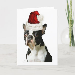 Cartão De Festividades Ditzy Dogs~Original Notecard~Boston Terrier