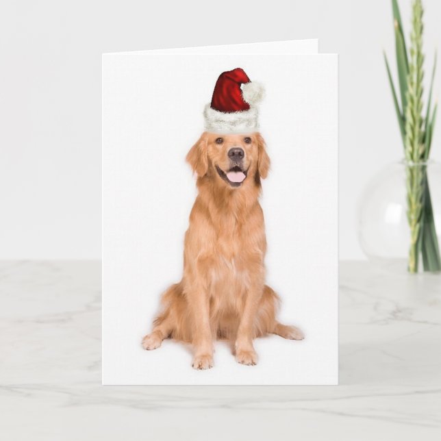 Cartão De Festividades Ditzy Dogs~Original Notecard~Golden Retriever (Frente)