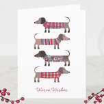 Cartão De Festividades Diversão Dachshund Dog<br><div class="desc">Adorável Dachshund,  Wiener ou Cães de Enchimento em calcinha de inverno. Mude a saudação na frente e no dentro e também os nomes para personalizar. Arte original de Nic Squirrell.</div>