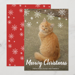 Cartão De Festividades Diversão Moderna de Natal com Foto de Gato Fofo