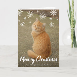Cartão De Festividades Diversão Moderna de Natal com Foto de Gato Fofo