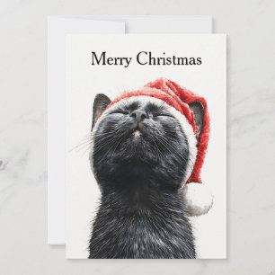 Cartão De Festividades Divertido Fofinho Quadrinho Caprichoso Gato Feliz