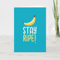 Dívidas Favoritas de Banana Retro Engraçadas Puns 