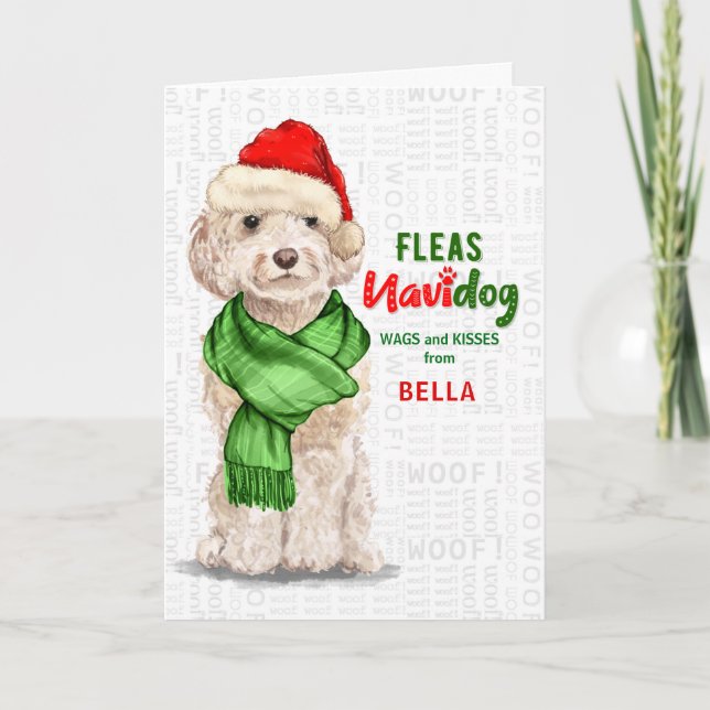 Cartão De Festividades do Cão Champanhe Cockapoo Fleas Navidog Hol (Frente)