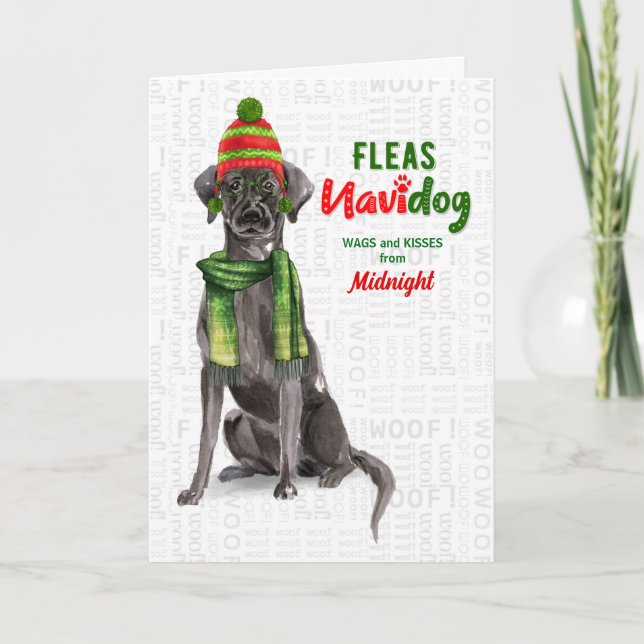Cartão De Festividades do Dog Black Lab Fleas Navidog Natal (Frente)