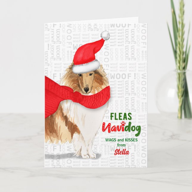 Cartão De Festividades do Dog Sweet Rough Collie Natal (Frente)