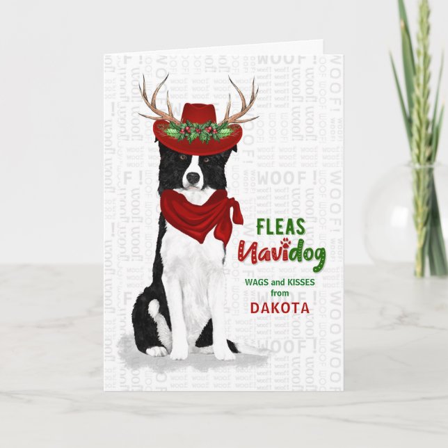 Cartão De Festividades do Dog Western Border Collie Christmas (Frente)