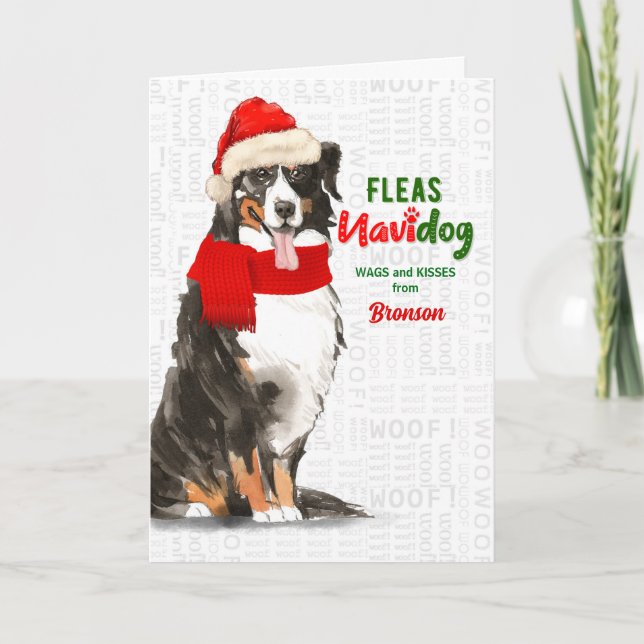 Cartão De Festividades do Natal do Cão da Montanha Dog Bernese (Frente)