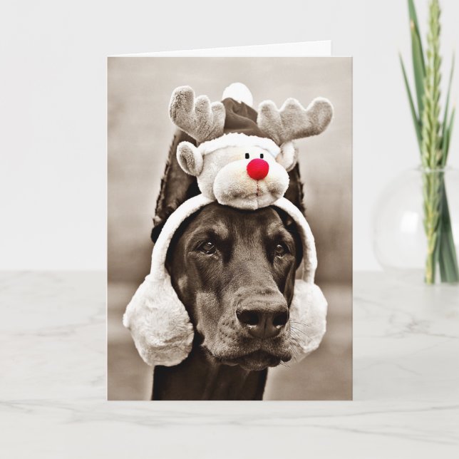 Cartão De Festividades Doberman Christmas Card (Frente)
