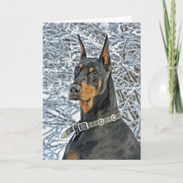 Cartão De Festividades Doberman Frosty Day Holiday Card (Frente)