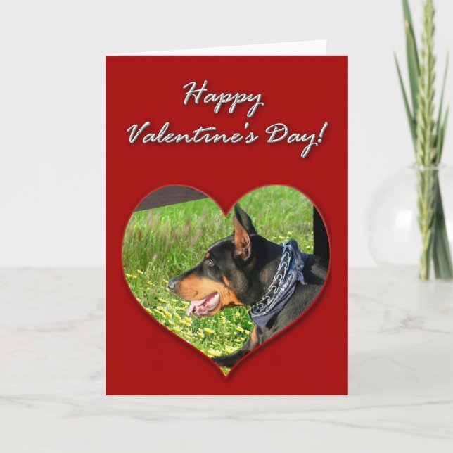 Cartão De Festividades Doberman Pinscher Valentines Day Card (Frente)