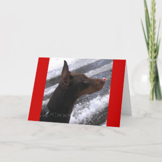 Cartão De Festividades Doberman with Red Nose Holiday Card
