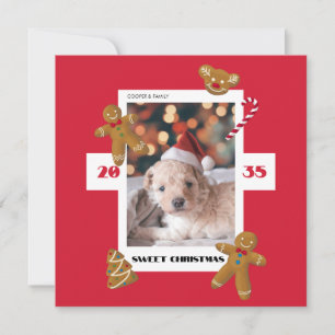 Cartão De Festividades Doce foto personalizada de Natal animal de estimaç