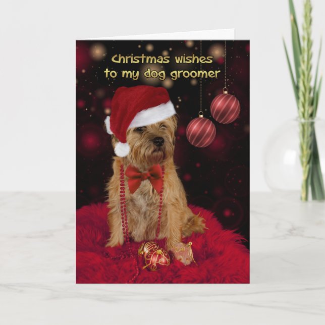 Cartão De Festividades Dog Groomer Christmas Card, Border Terrier (Frente)