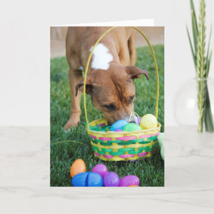 Cartão De Festividades Dog in Basket Easter Card