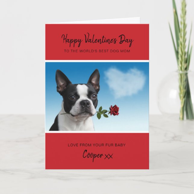 Cartão De Festividades Dog Mom Valentine From Boston Terrier Holding Rose (Frente)