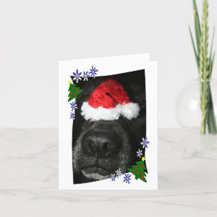 Cartão De Festividades Dog Nose Wearing Santa hat, black lab mix