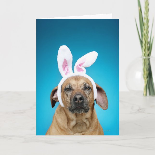 Cartão De Festividades Dog portrait wearing Easter bunny ears (Frente)