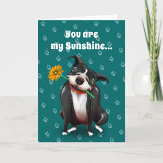 Cartão De Festividades Dog Valentine Greeting Cards | You Are My Sunshine
