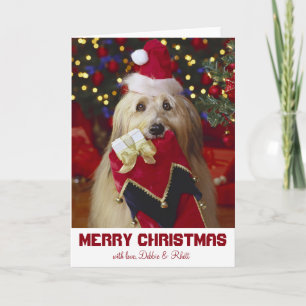 Cartão De Festividades Dog with Christmas stocking