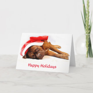 Cartão De Festividades Dogue de Bordeaux Happy Holidays Card