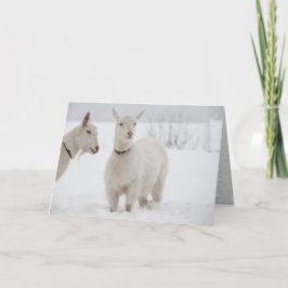 Cartão De Festividades Dois Caprinos Felizes com Colares em Pé na Neve