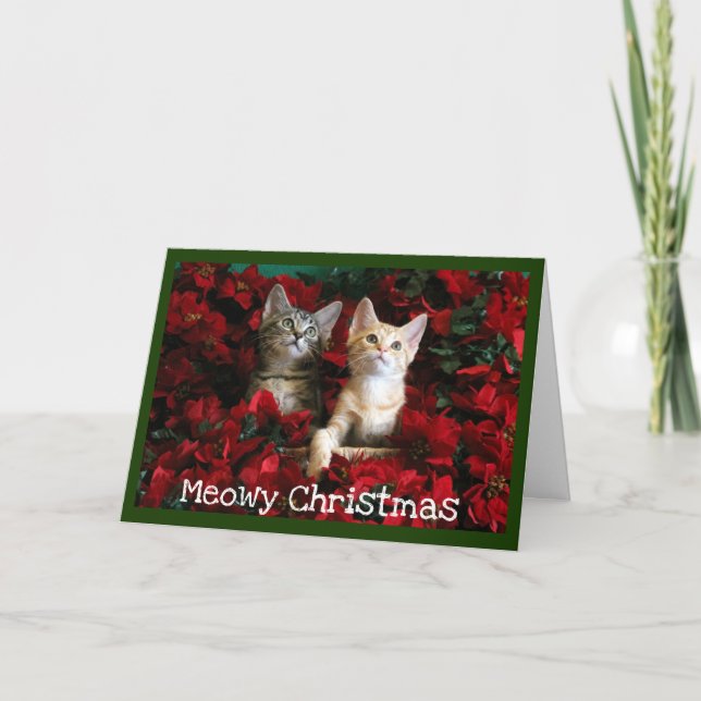 Cartão De Festividades Dois Kittens e Poinsettias (Frente)