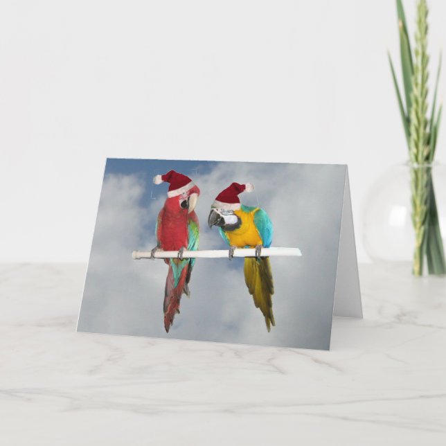 Cartão De Festividades Dois macaw Santas (Frente)