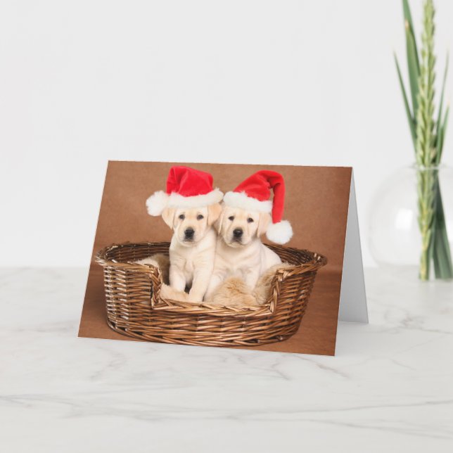 Cartão De Festividades Dois Puppies de Natal de laboratório amarelo (Frente)