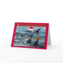 dolphins Merry and bright happy holiday Card