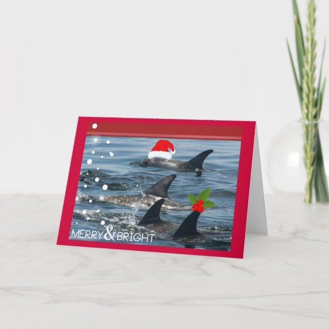 Cartão De Festividades dolphins Merry and bright happy holiday Card (Frente)