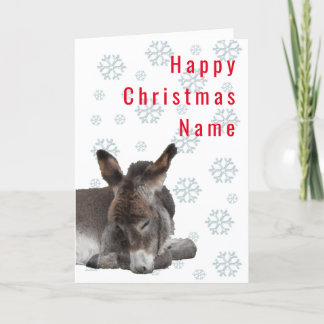Cartão De Festividades Donkey Foal Deco Christmas
