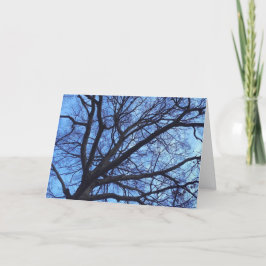 Cartão De Festividades Dossel de árvore contra um céu azul do inverno -