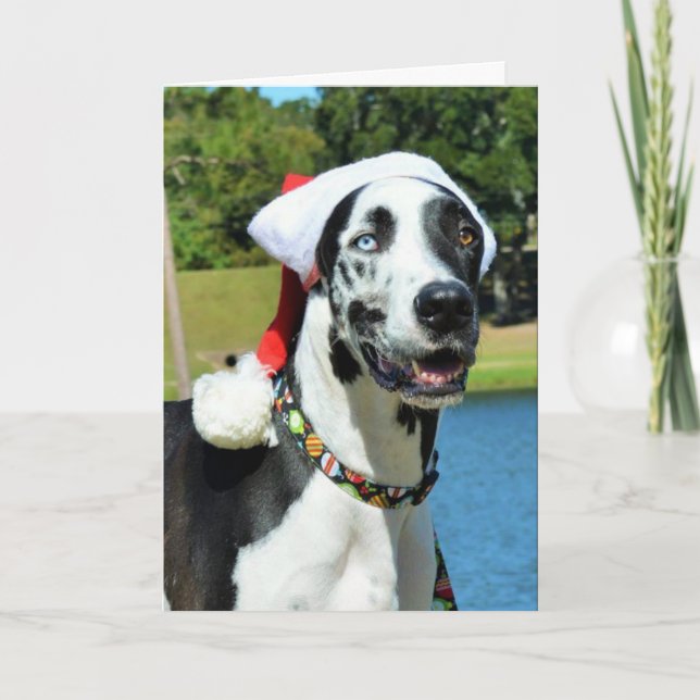 Cartão De Festividades Dozer Christmas Cards (Frente)