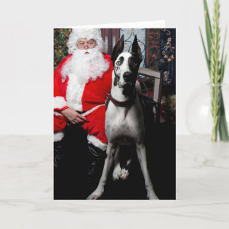 Cartão De Festividades Dozer the Therapy Dog, Christmas Cards