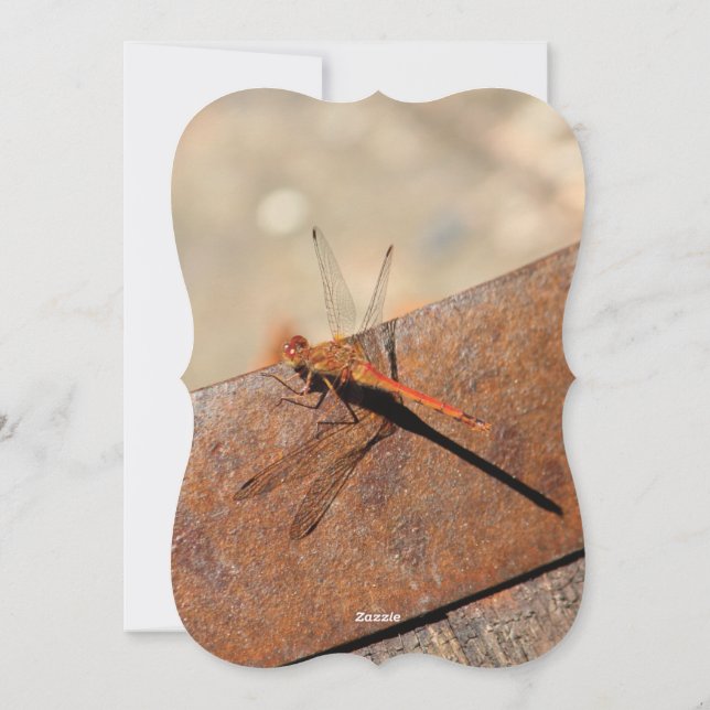 Cartão De Festividades Dragonfly Design com Brown (Verso)