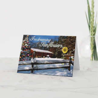 Cartão De Festividades Dreaming of Sunflowers xmas card