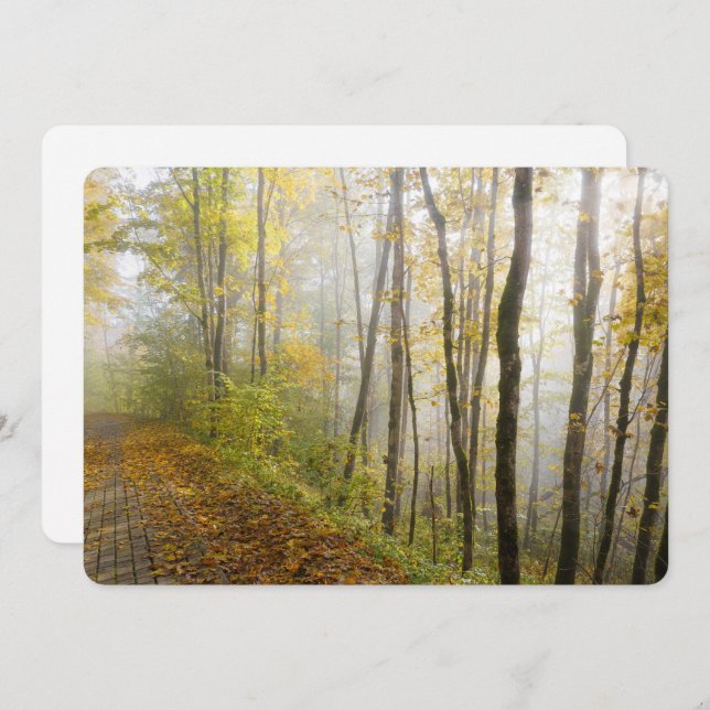 Cartão De Festividades Dreamy autumn park (Frente/Verso)