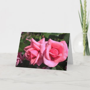 Cartão De Festividades duas rosas perfeitas cor de rosa quente. amor