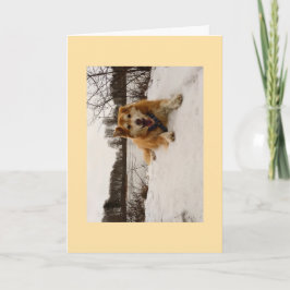 Cartão De Festividades Ducati o Cão Maravilha