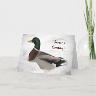 Cartão De Festividades Duck in Snow Seasons Greetings