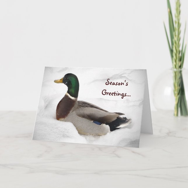 Cartão De Festividades Duck in Snow Seasons Greetings (Frente)