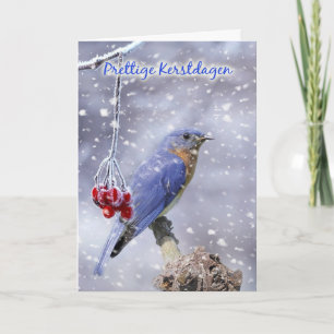 Cartão De Festividades dutch christmas card - blue bird with berries and