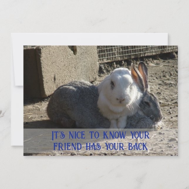 Cartão De Festividades é bom saber... (Frente)