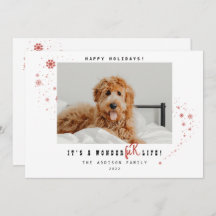 É Feriado de Natal do Pet Life WonderFUR