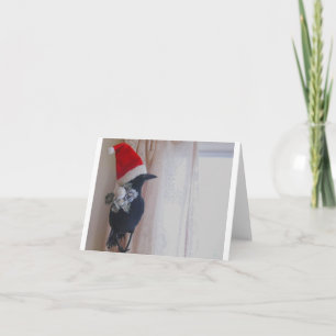 Cartão De Festividades É o Corvo de Natal