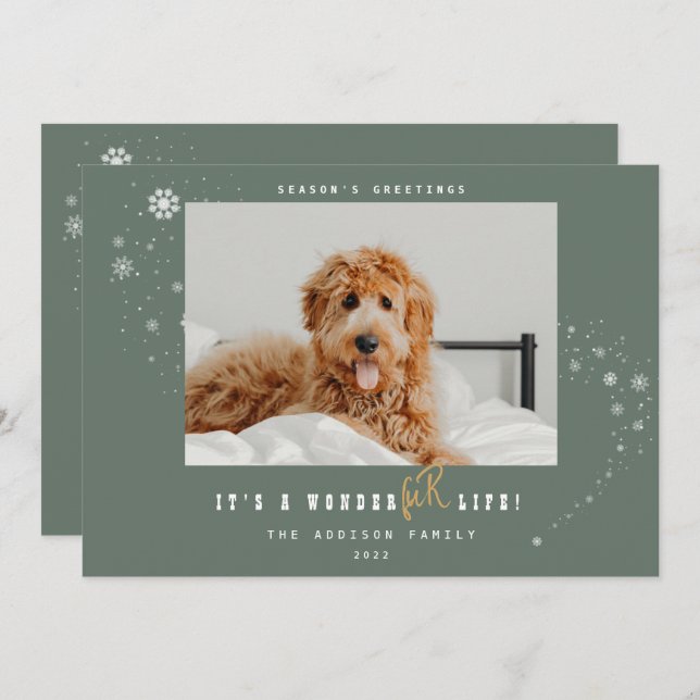 Cartão De Festividades É um Natal de Pet Foto de Maravilha (Frente/Verso)