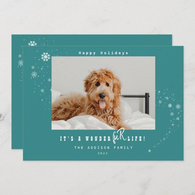 Cartão De Festividades É um Pet de Vida Maravilha Foto de Neve (Frente/Verso)