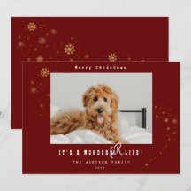 É Uma Vida MaravilhosaFUR Foto de Natal de Animais